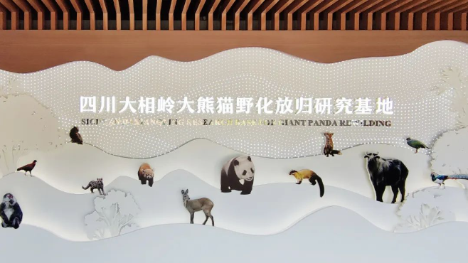 亚洲精品色情AAA片