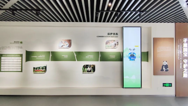 亚洲精品色情AAA片